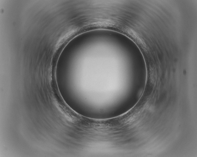 X0000089890486200706281418