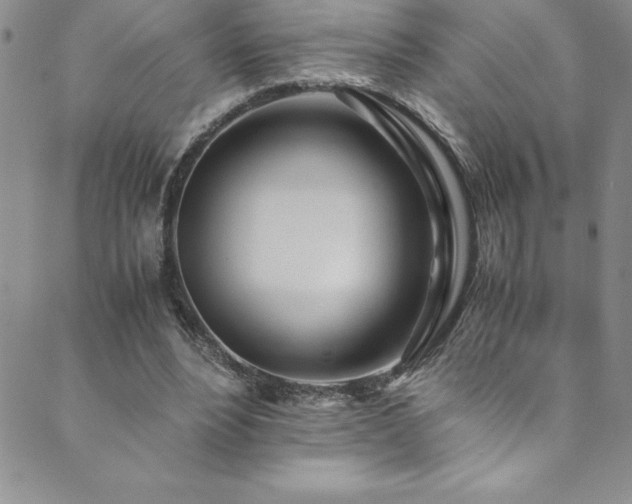 X0000089890488200706281418