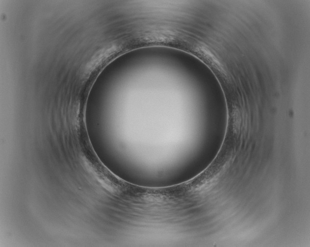 X0000089890490200706281418