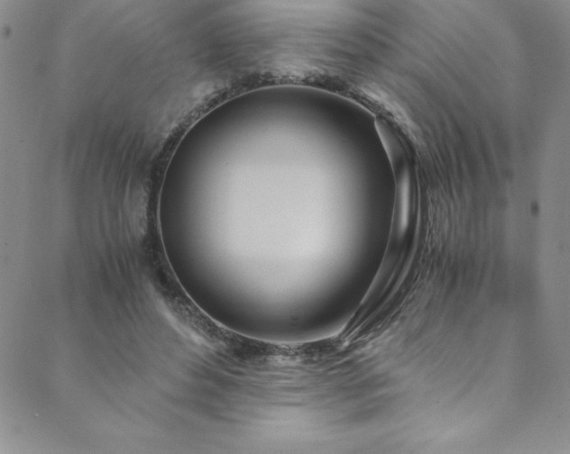 X0000089890496200706281418