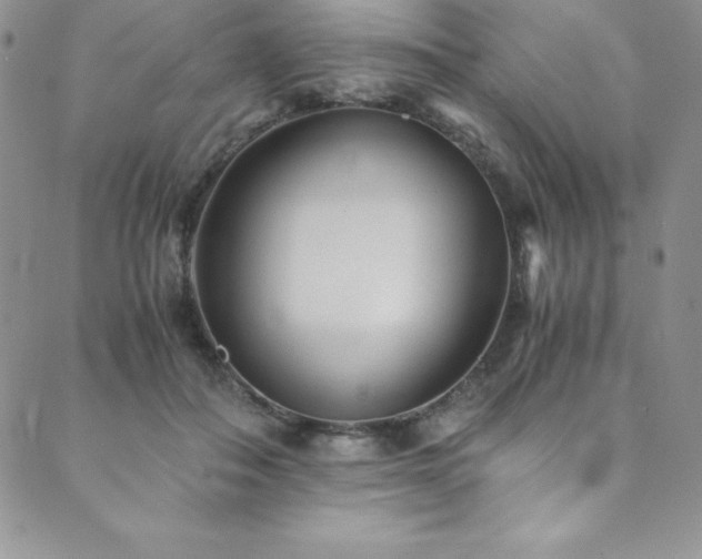 X0000089890506200706281418
