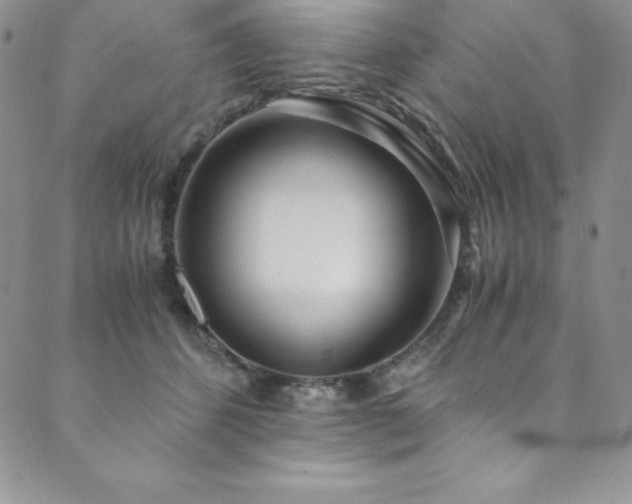 X0000089890512200706281418