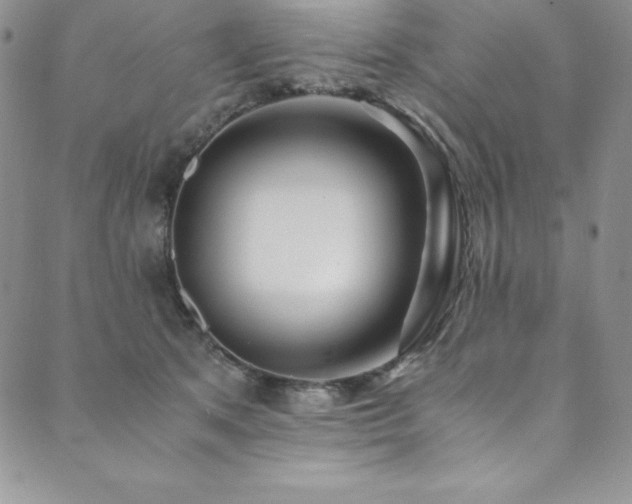 X0000089890513200706281418