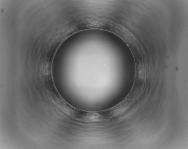 X0000089890514200706281418