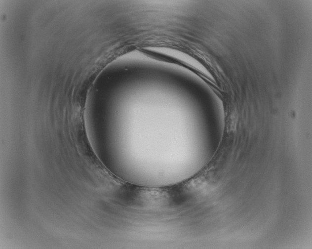 X0000089890521200706281418