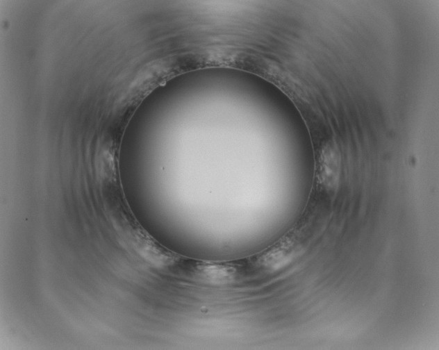 X0000089890522200706281418