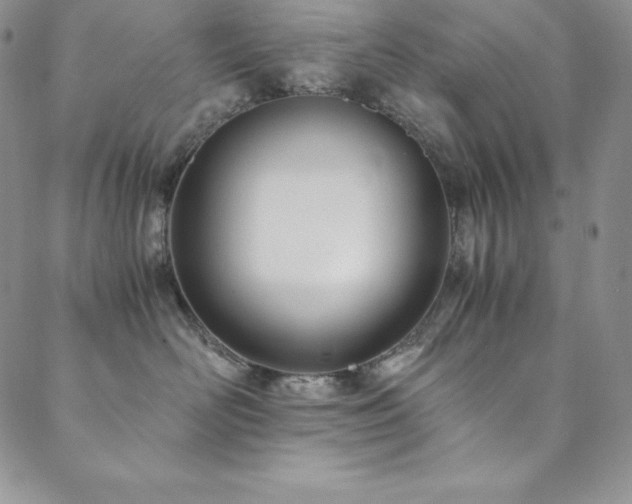 X0000089890526200706281417