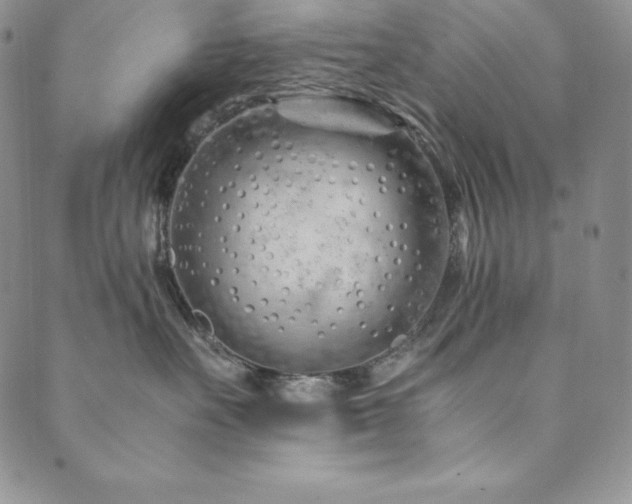 X0000089890527200706281417
