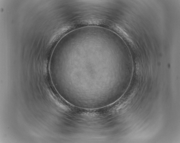 X0000089890537200706281417