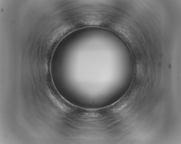 X0000089890541200706281417
