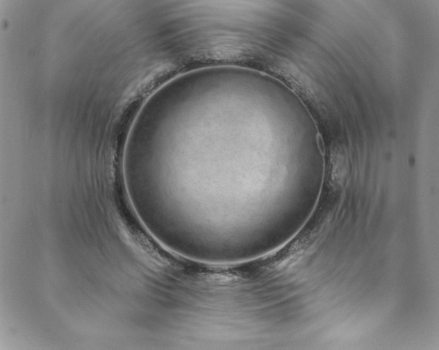 X0000089890542200706281417