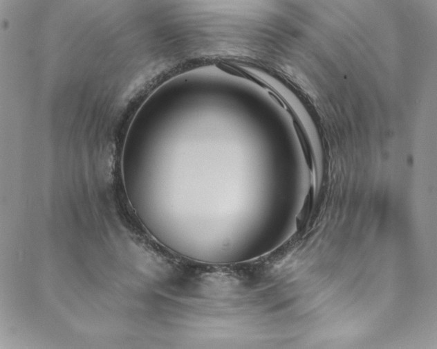 X0000089890544200706281417