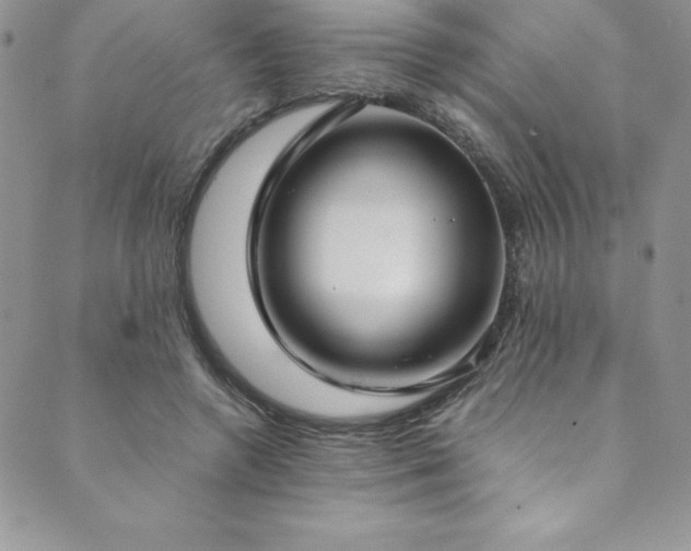 X0000089890546200706281417