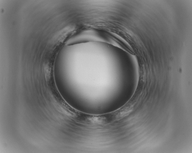 X0000089890558200706281417