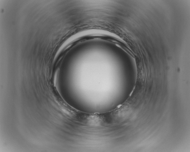 X0000089890562200706281417