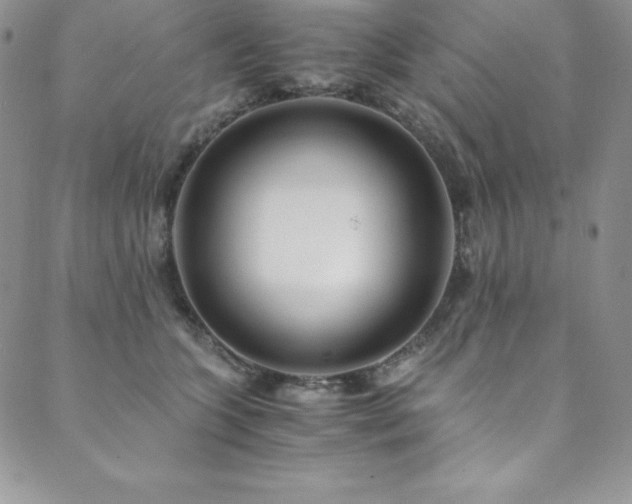 X0000089890563200706281417