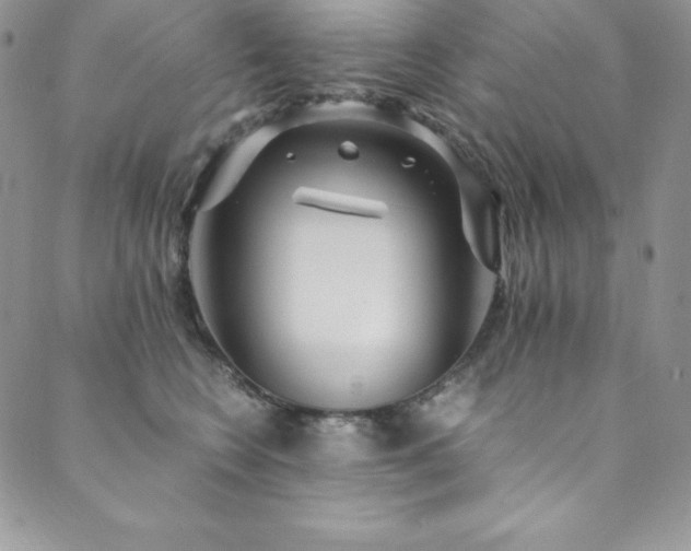 X0000089890566200706281417
