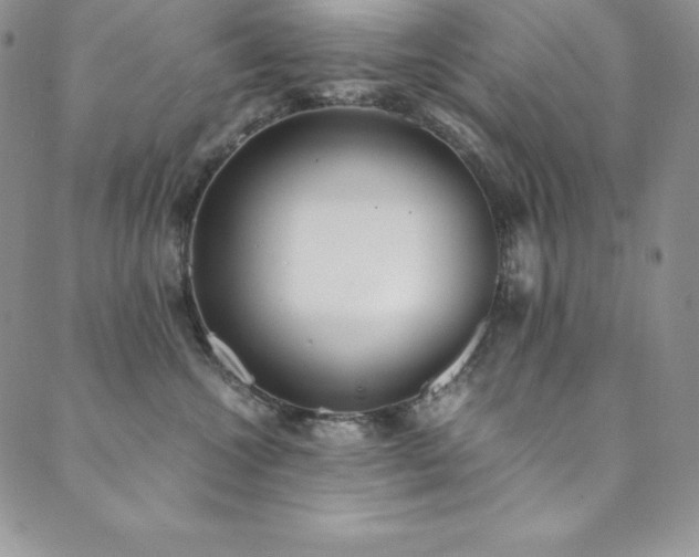 X0000089890572200706281417