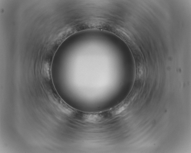 X0000089890575200706281417