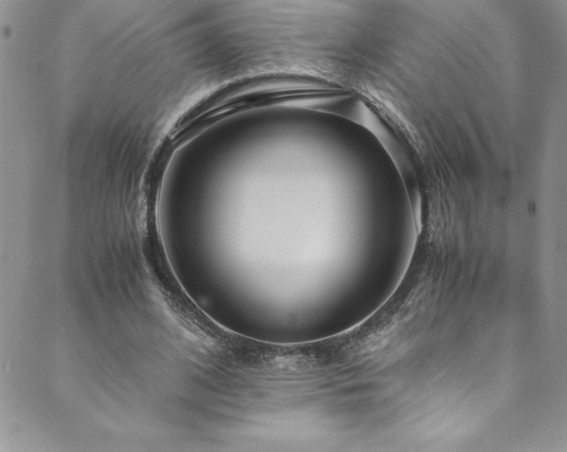 X0000089890584200706281417