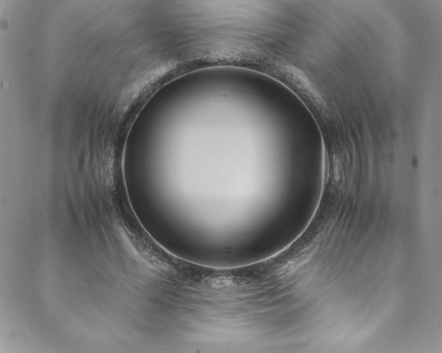 X0000089890588200706281416