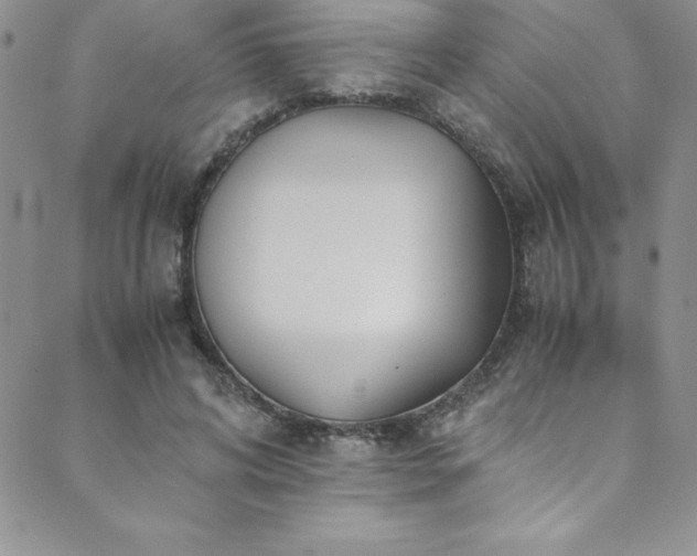 X0000089890592200706281416