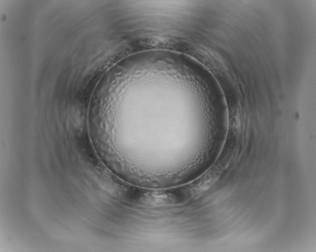 X0000089890607200706281416