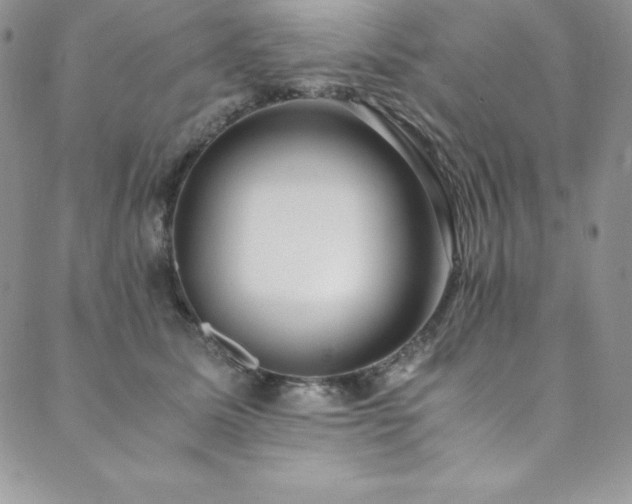 X0000089890611200706281416