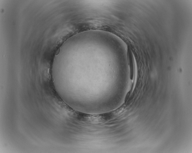 X0000089890615200706281416
