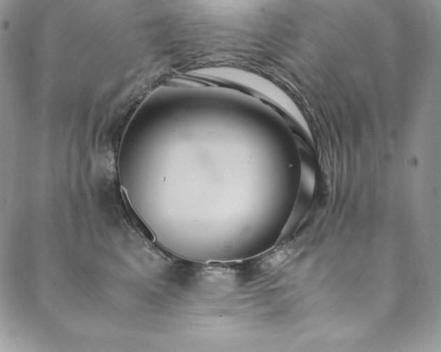 X0000089890617200706281416