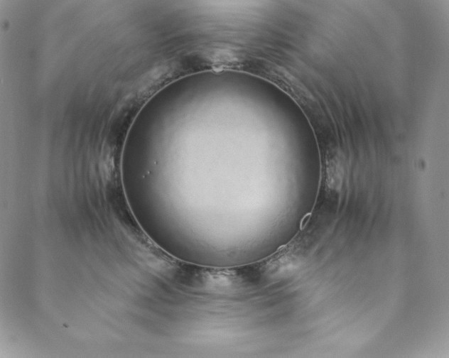 X0000089890618200706281416