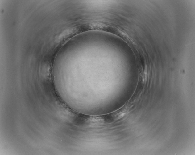 X0000089890619200706281416
