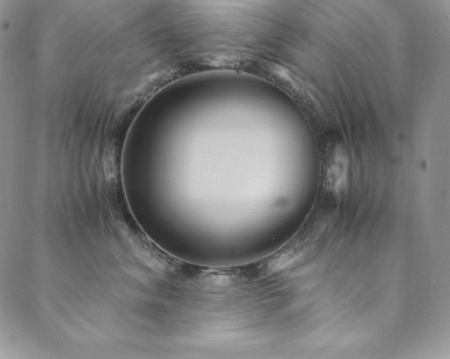 X0000089890620200706281416
