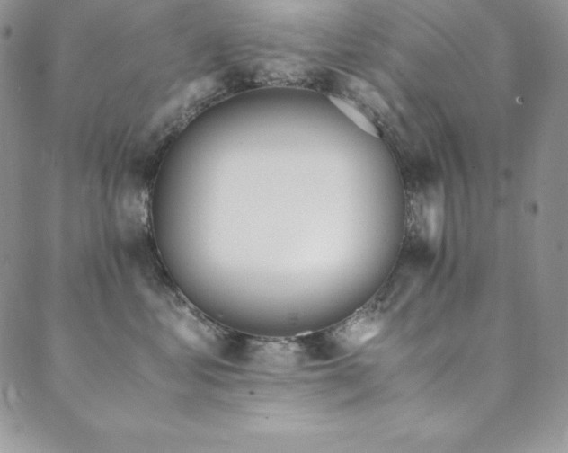 X0000089890621200706281416