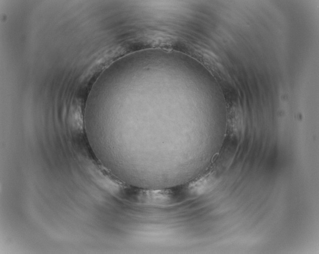 X0000089890622200706281416