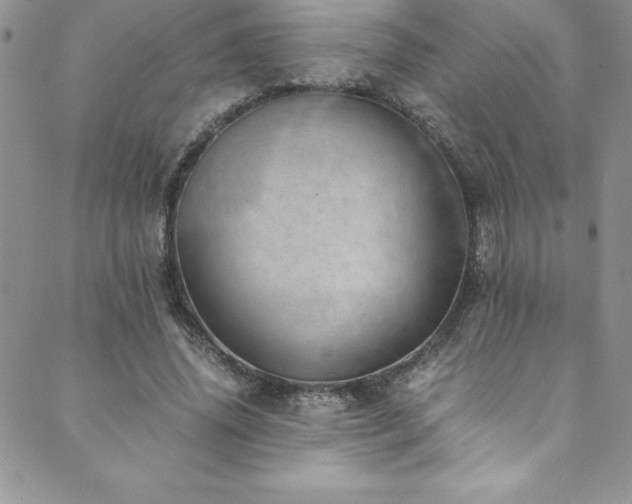 X0000089890636200706281415