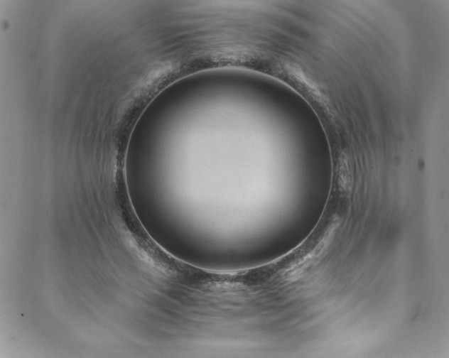 X0000089890637200706281415