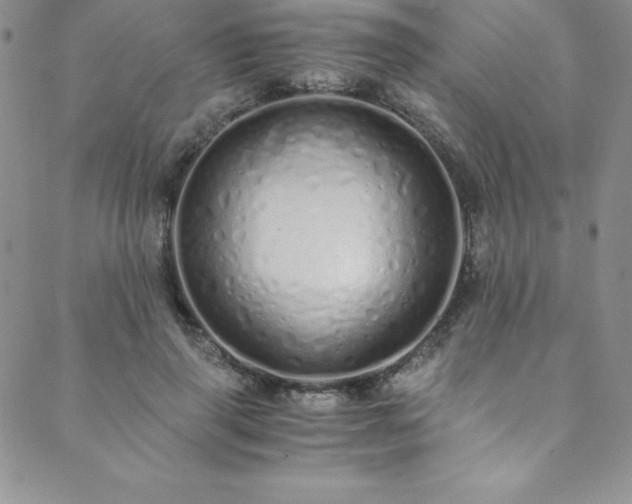 X0000089890645200706281415