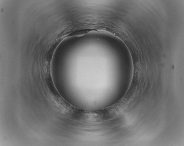 X0000089890650200706281416