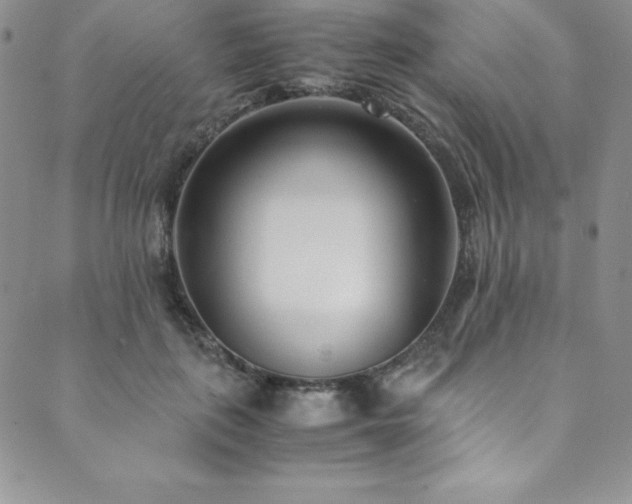 X0000089890651200706281416