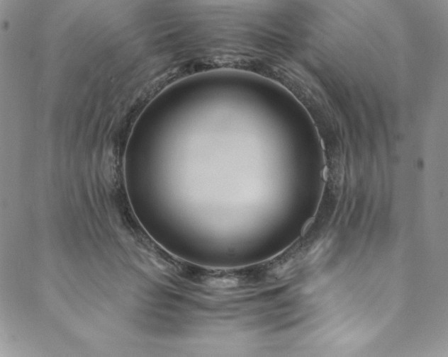 X0000089890653200706281416