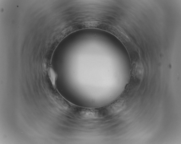 X0000089890655200706281416