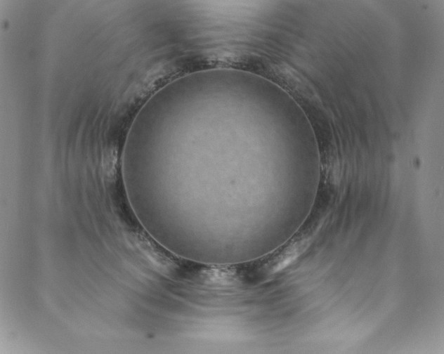 X0000089890660200706281416