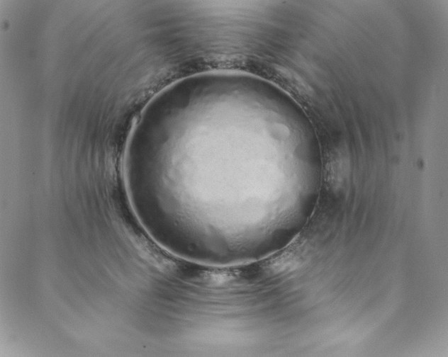 X0000089890662200706281416