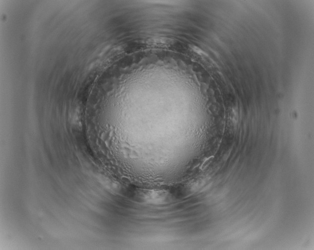 X0000089890663200706281416