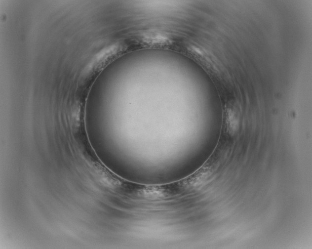 X0000089890668200706281416