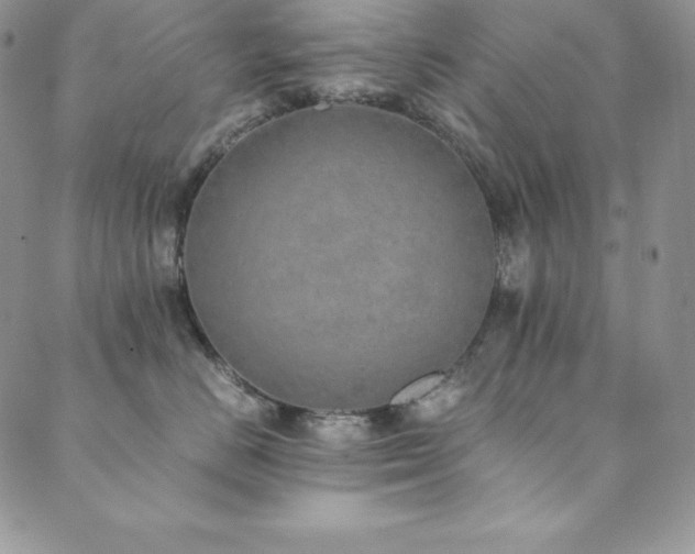 X0000089890670200706281416