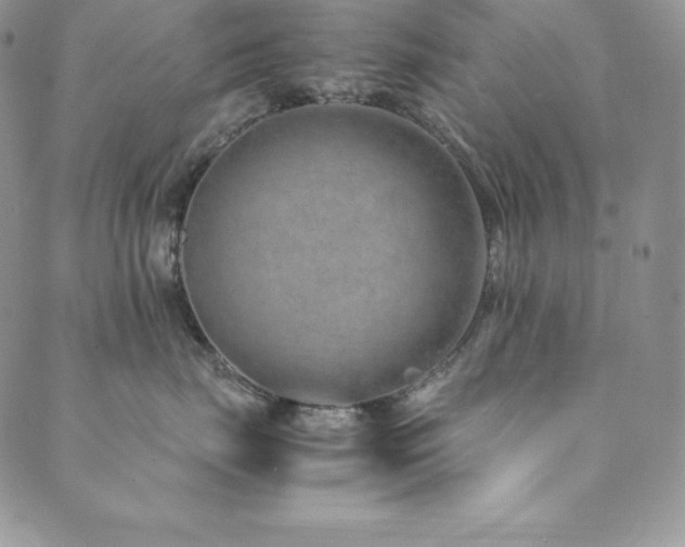 X0000089890671200706281416