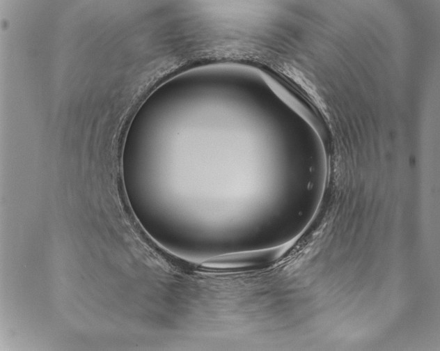 X0000089890673200706281415