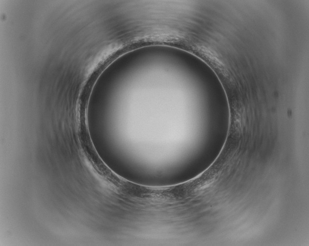 X0000089890678200706281415